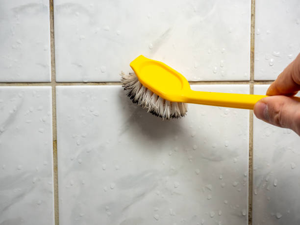 Best Certified Mold Removal  in Mcrae Helena, GA