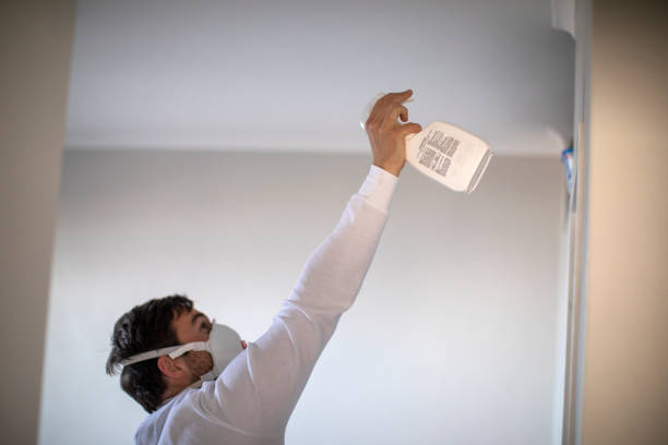 Best Office Mold Removal Services  in Mcrae Helena, GA