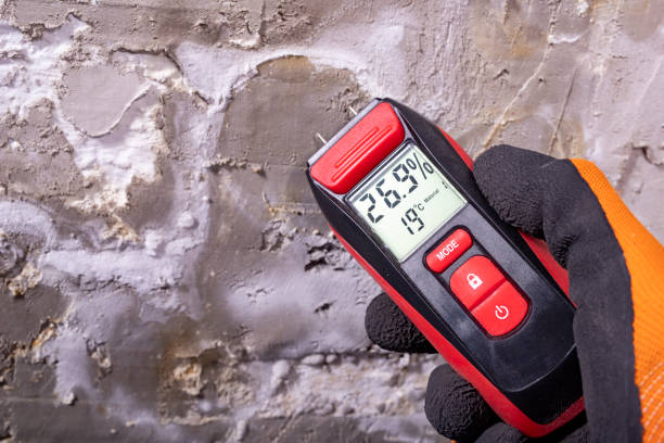 Best Crawl Space Mold Removal  in Mcrae Helena, GA