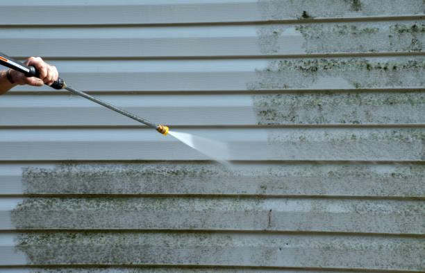 Best Black Mold Removal  in Mcrae Helena, GA