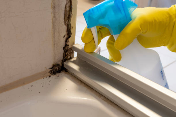 Mcrae Helena, GA Mold Removal Company