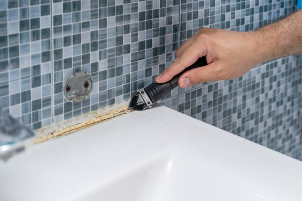 Best Mold Testing  in Mcrae Helena, GA